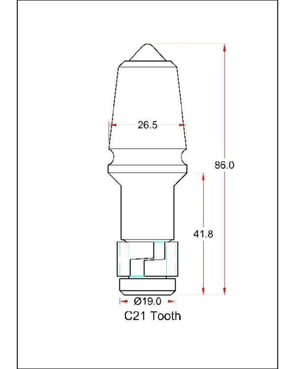 C21 Tooth & C10 Holder - Image 2
