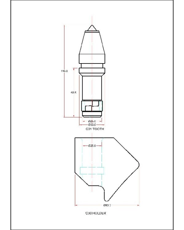 C31 Tooth & C30 Holder - Image 4